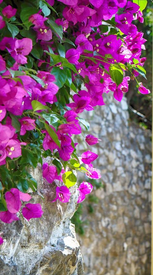 Positano Holidays Exterior photo